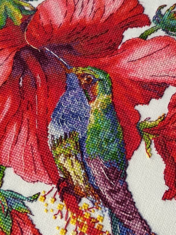 IMG_20220724_172707 Close‑up of colorful colibri embroidery