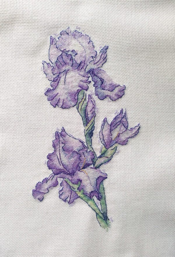 Blue iris finished embroidery